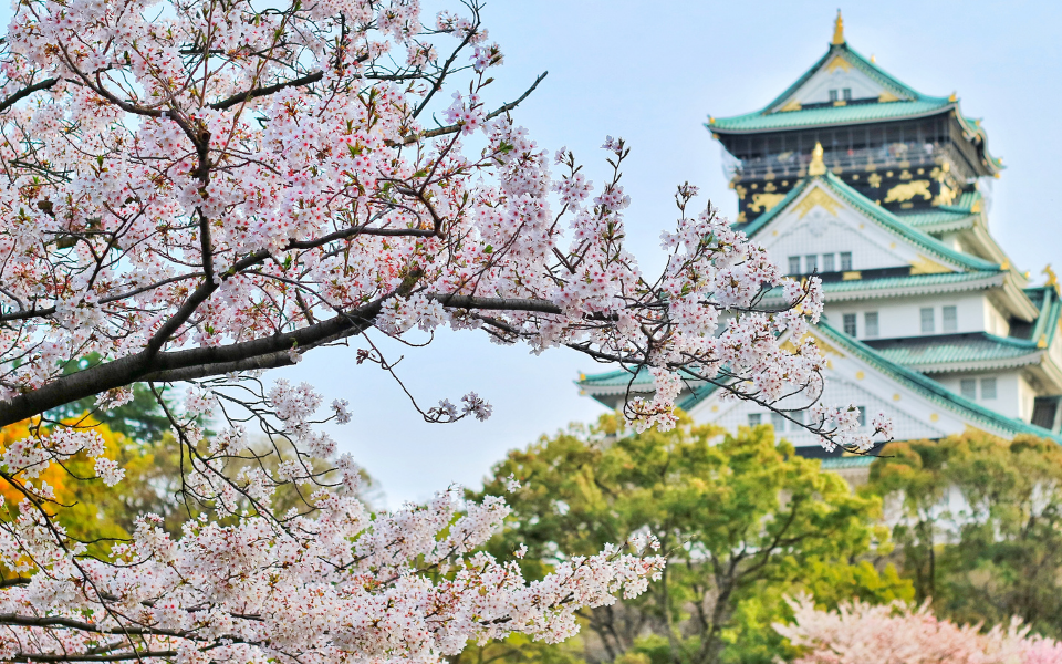 Travel smart in Japan with vaccine advice, essential tests, and health tips from Regis Medical Singapore GP Doctors..png