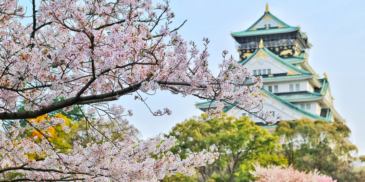 Travel smart Japan with vaccine advice, essential tests, and health tips from Regis Medical Singapore GP Doctors.