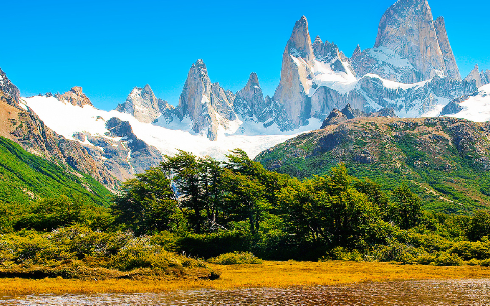 Travel smart in South America with vaccine advice, essential tests, and health tips from Regis Medical Singapore GP Doctors.