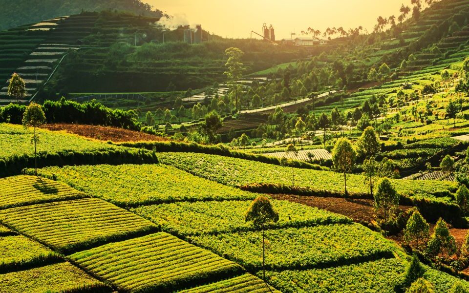 Travel smart in Indonesia with vaccine advice, essential tests, and health tips from Regis Medical Singapore GP Doctors.