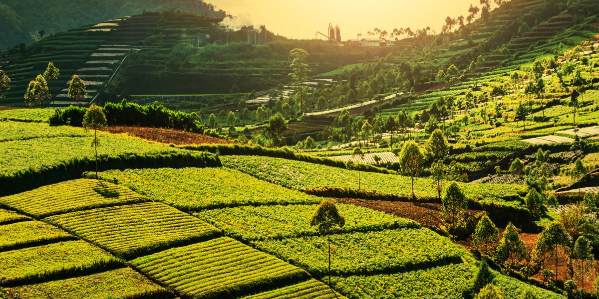 Travel smart in Indonesia with vaccine advice, essential tests, and health tips from Regis Medical Singapore GP Doctors.