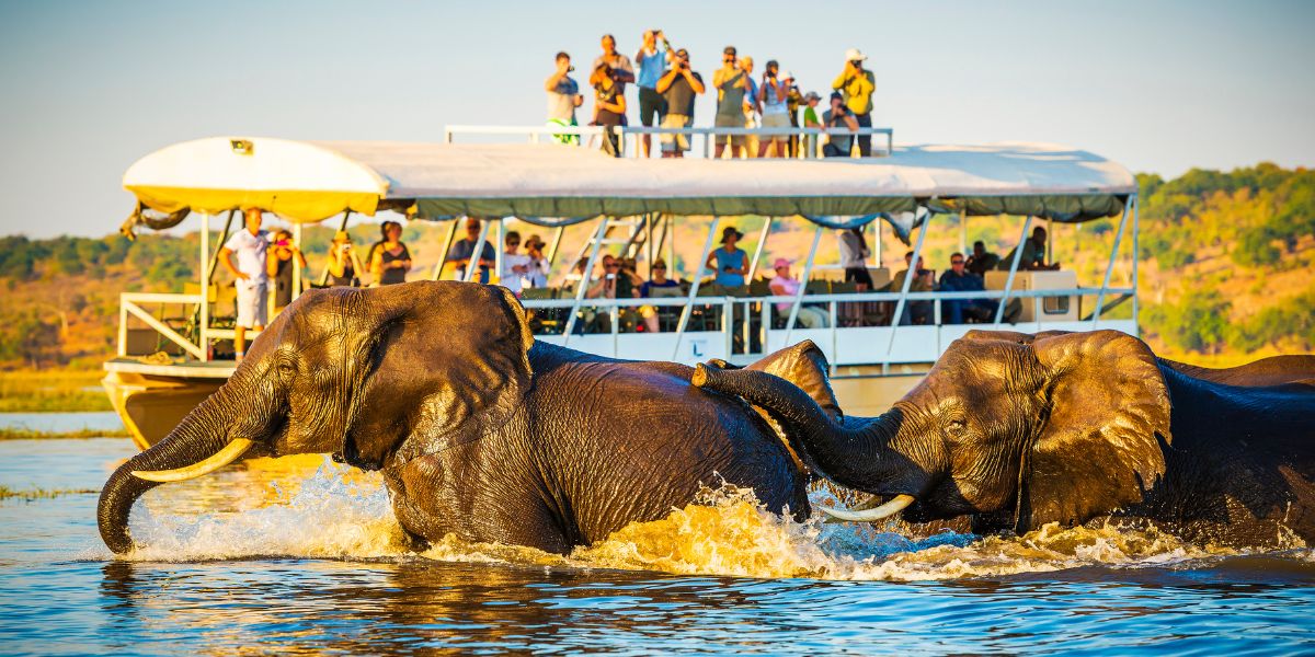 Routine and recommended vaccines for travel in Africa