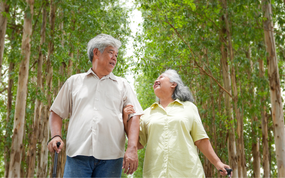 Good vs Bad Cholesterol: Why HDL and LDL Matter