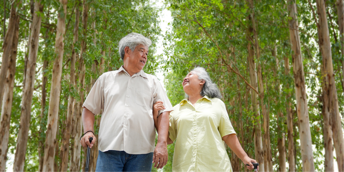 Good vs Bad Cholesterol: Why HDL and LDL Matter