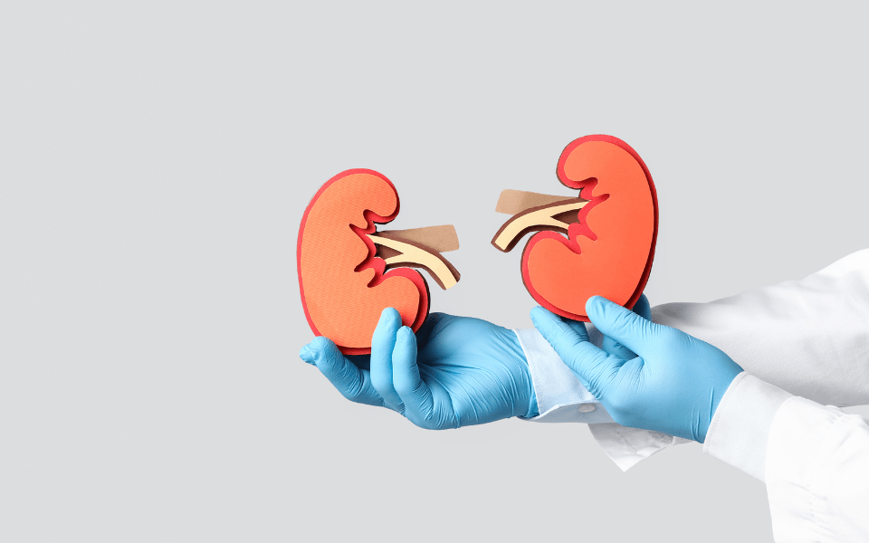 Diabetes and Kidney Damage in Singapore_ Early Signs and How to Protect Yourself