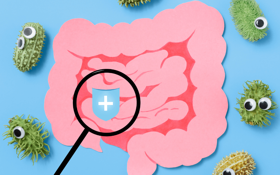 Dysbiosis Symptoms Explained and When to Get Tested