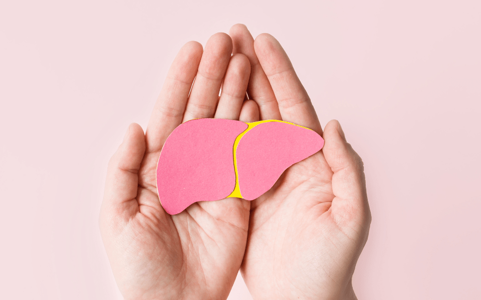Hepatitis B and Liver Cancer Why Vaccination and Testing Matters