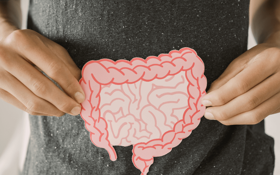 Leaky Gut Explained How Intestinal Permeability Triggers Inflammation