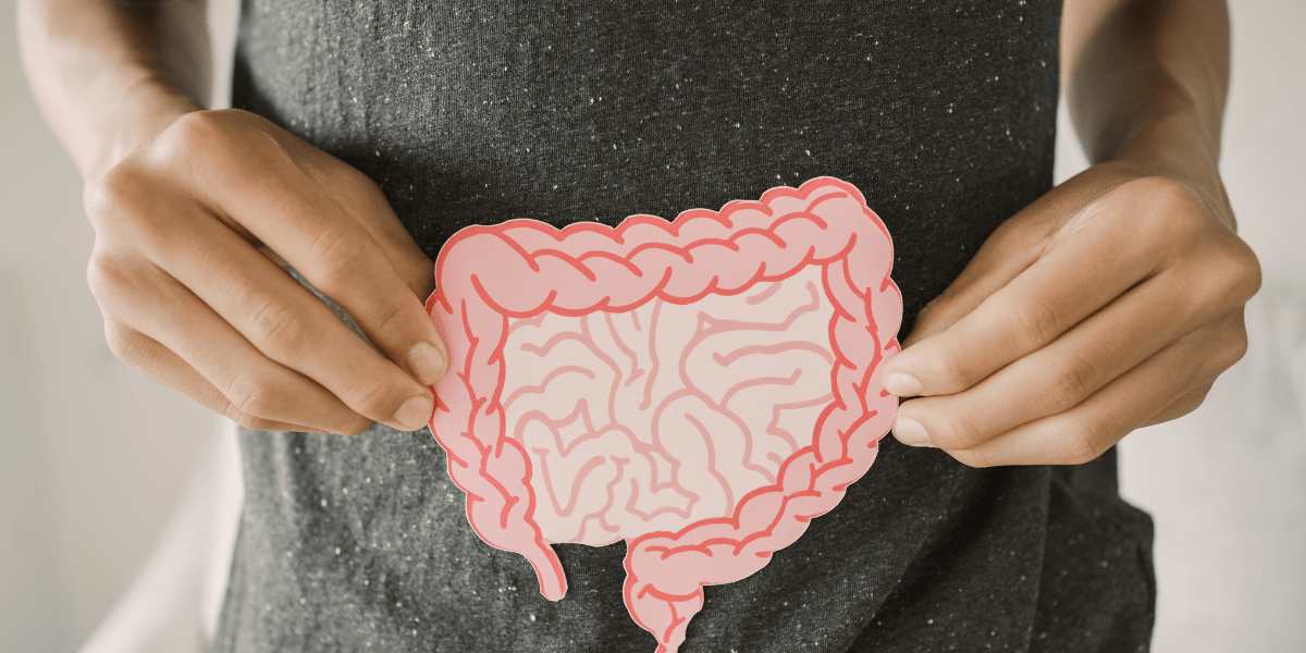 Leaky Gut Explained How Intestinal Permeability Triggers Inflammation