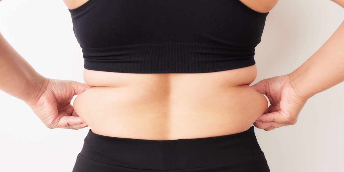 Visceral Fat_ The Fat That Drives Diabetes, Heart Disease, and Fatty Liver